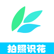 原神极彩的露珂菈成就怎么解锁 极彩的露珂菈具体在哪里大全