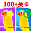 lucky bird casino截图